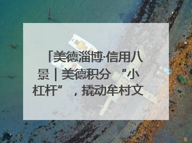 美德淄博·信用八景｜美德积分 “小杠杆”，撬动牟村文明 “大能量”