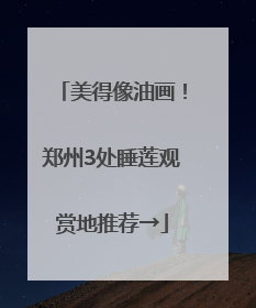 美得像油画！郑州3处睡莲观赏地推荐→