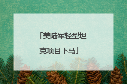 美陆军轻型坦克项目下马