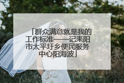 群众满意就是我的工作标准——记耒阳市太平圩乡便民服务中心阳海波