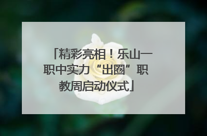 精彩亮相！乐山一职中实力“出圈”职教周启动仪式
