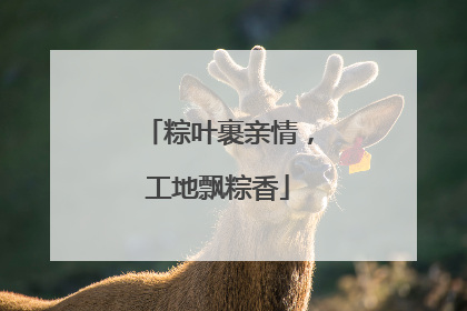 粽叶裹亲情，工地飘粽香