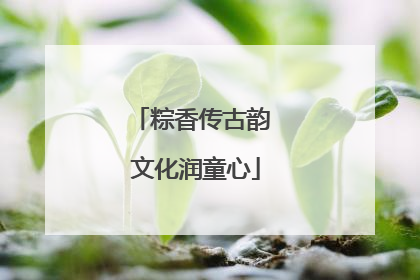粽香传古韵 文化润童心