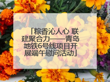 粽香沁人心 联建聚合力——青岛地铁6号线项目开展端午慰问活动