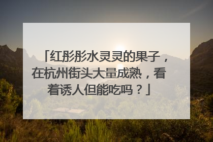 红彤彤水灵灵的果子，在杭州街头大量成熟，看着诱人但能吃吗？