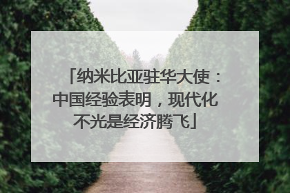 纳米比亚驻华大使：中国经验表明，现代化不光是经济腾飞