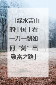 绿水青山的中国丨看一刀一划如何“刻”出致富之路