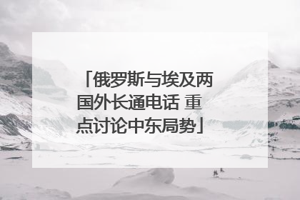 俄罗斯与埃及两国外长通电话 重点讨论中东局势
