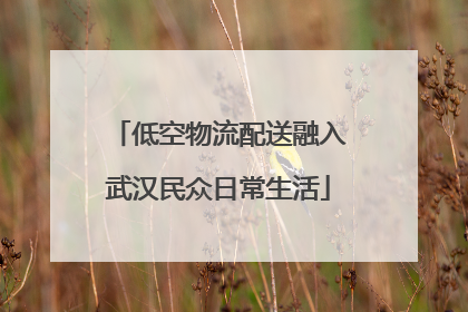 低空物流配送融入武汉民众日常生活