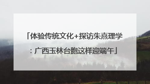 体验传统文化+探访朱熹理学：广西玉林台胞这样迎端午