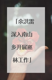余洪雷深入南山乡开展巡林工作