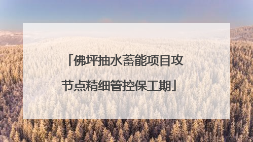 佛坪抽水蓄能项目攻节点精细管控保工期