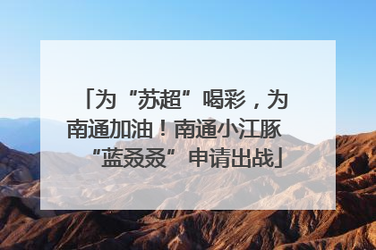 为“苏超”喝彩，为南通加油！南通小江豚“蓝叒叒”申请出战