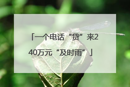 一个电话“贷”来240万元“及时雨”
