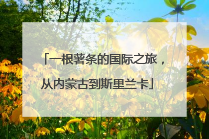 一根薯条的国际之旅，从内蒙古到斯里兰卡