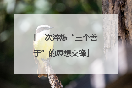 一次淬炼“三个善于”的思想交锋