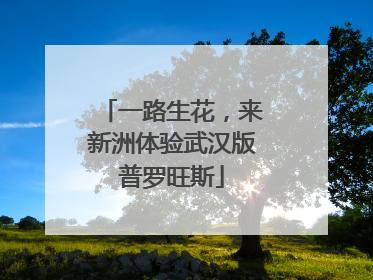 一路生花，来新洲体验武汉版普罗旺斯