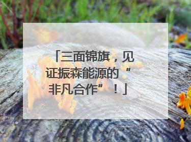 三面锦旗，见证振森能源的“非凡合作”！
