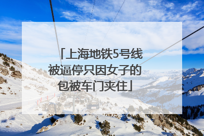 上海地铁5号线被逼停只因女子的包被车门夹住