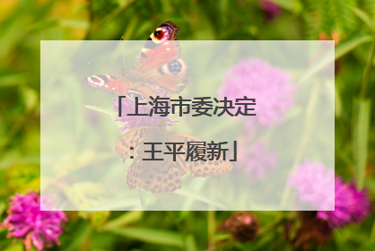 上海市委决定：王平履新