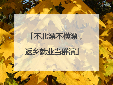 不北漂不横漂，返乡就业当群演
