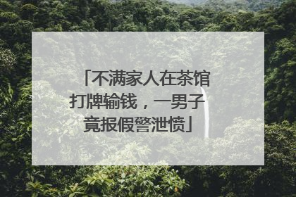 不满家人在茶馆打牌输钱，一男子竟报假警泄愤