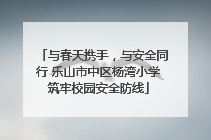与春天携手，与安全同行 乐山市中区杨湾小学筑牢校园安全防线