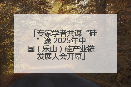 专家学者共谋“硅”途 2025年中国（乐山）硅产业链发展大会开幕