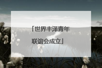 世界丰泽青年联谊会成立
