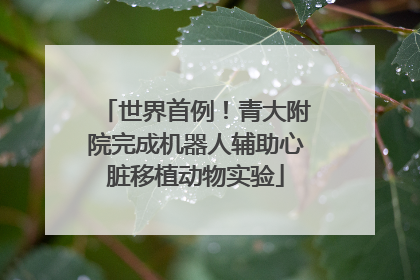 世界首例！青大附院完成机器人辅助心脏移植动物实验