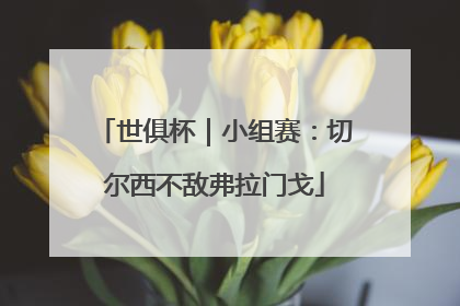 世俱杯｜小组赛：切尔西不敌弗拉门戈