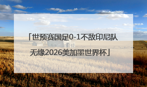 世预赛国足0-1不敌印尼队 无缘2026美加墨世界杯