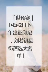 世预赛｜国足2日下午出征印尼，刘若钒因伤落选大名单
