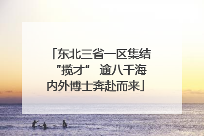 东北三省一区集结“揽才” 逾八千海内外博士奔赴而来
