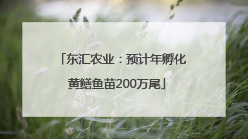 东汇农业：预计年孵化黄鳝鱼苗200万尾