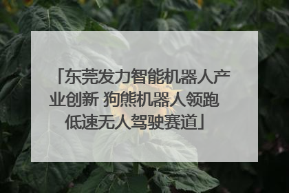 东莞发力智能机器人产业创新 狗熊机器人领跑低速无人驾驶赛道