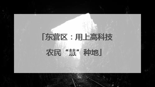 东营区：用上高科技 农民“慧”种地