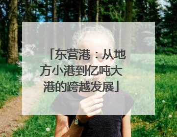东营港：从地方小港到亿吨大港的跨越发展