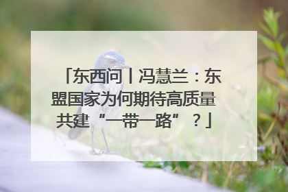 东西问丨冯慧兰：东盟国家为何期待高质量共建“一带一路”？