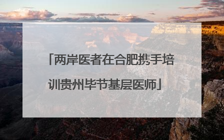 两岸医者在合肥携手培训贵州毕节基层医师