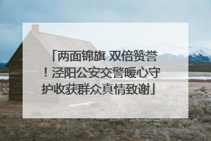 两面锦旗 双倍赞誉！泾阳公安交警暖心守护收获群众真情致谢