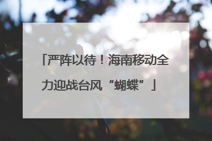 严阵以待！海南移动全力迎战台风“蝴蝶”