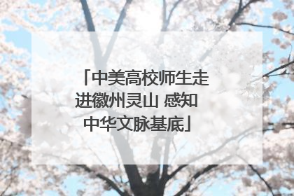 中美高校师生走进徽州灵山 感知中华文脉基底
