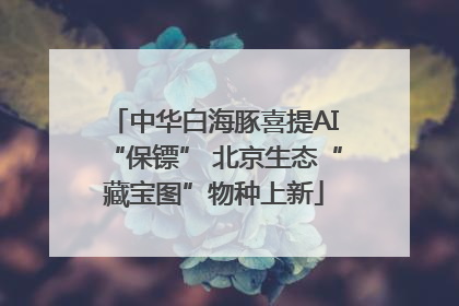 中华白海豚喜提AI“保镖” 北京生态“藏宝图”物种上新