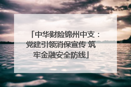 中华财险锦州中支：党建引领消保宣传 筑牢金融安全防线