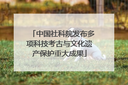 中国社科院发布多项科技考古与文化遗产保护重大成果