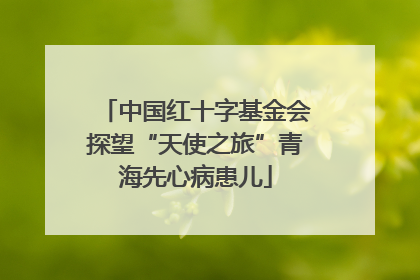 中国红十字基金会探望“天使之旅”青海先心病患儿