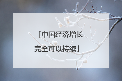 中国经济增长完全可以持续