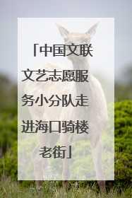 中国文联文艺志愿服务小分队走进海口骑楼老街