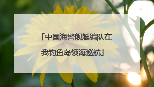 中国海警舰艇编队在我钓鱼岛领海巡航